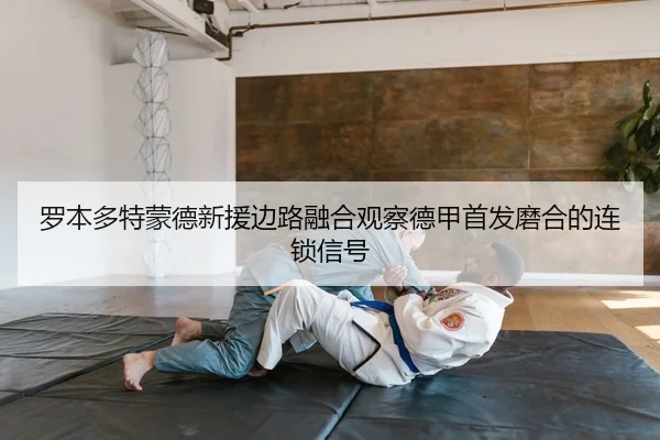 罗本多特蒙德新援边路融合观察德甲首发磨合的连锁信号